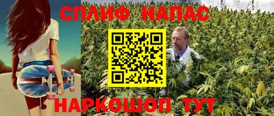 индика Кунгур