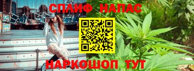 индика Кунгур